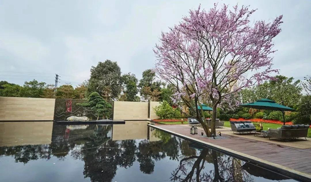 金輝項目效果圖（7）