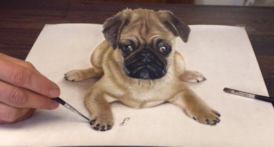 1585302089887597.png 003.png