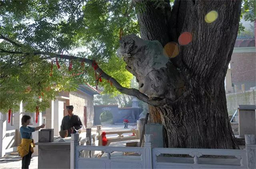 1585302569165517.png 圖片2.png