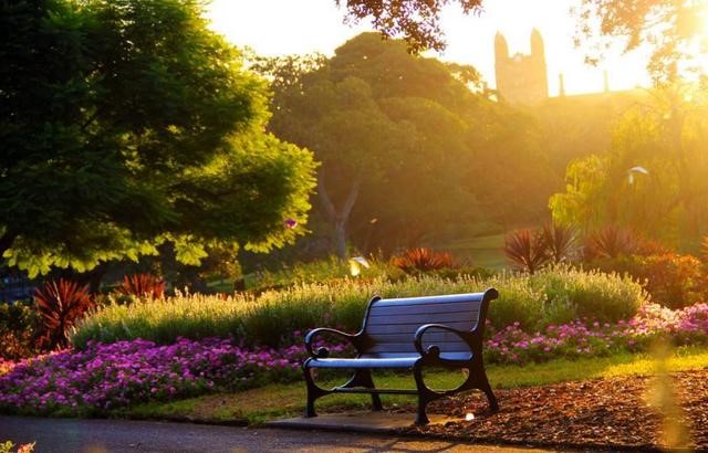 金輝集團(tuán)項(xiàng)目示意圖