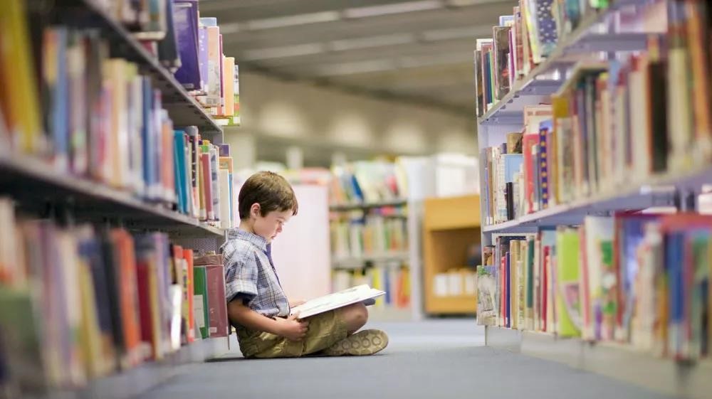 金輝集團(tuán)項(xiàng)目示意圖