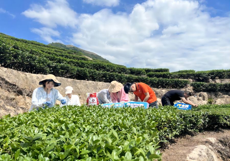 1666230903361512.jpg 111111111111111111111.jpg