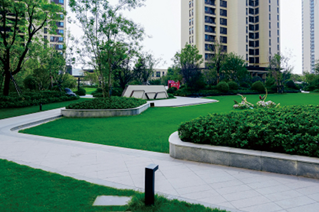 1666705951859142.jpg 13.jpg